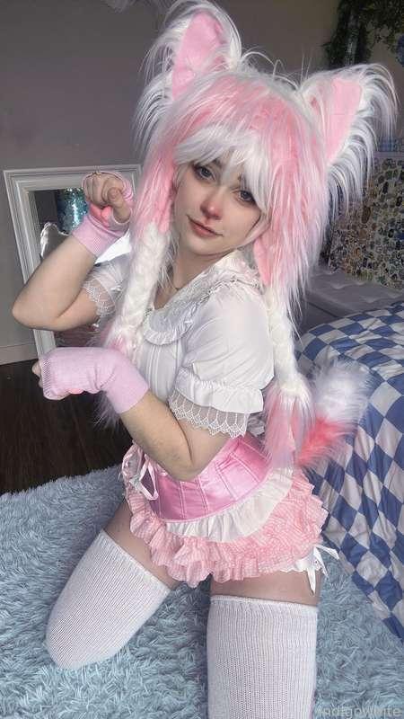 indigowhite image #78