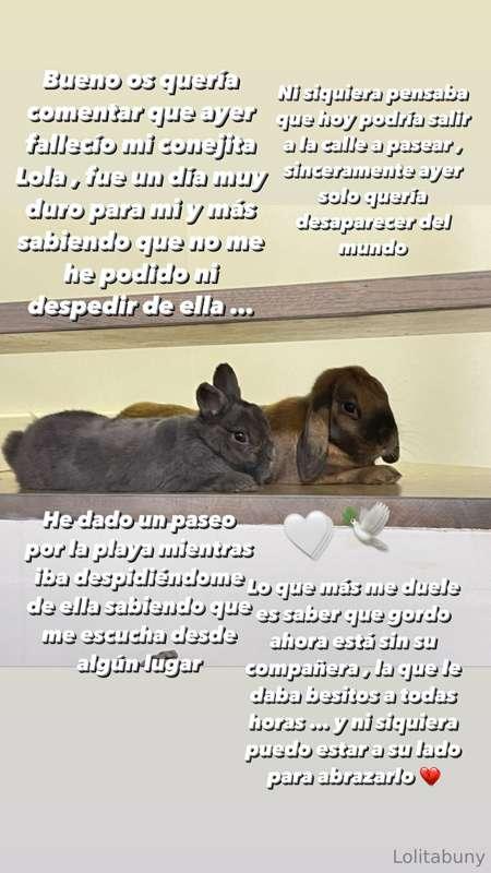 Those of you who know me know how important my pets are to m..