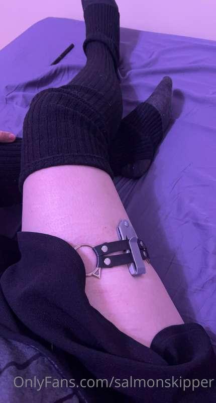 salmonskipper image #9