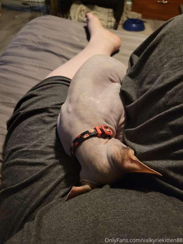 Love having a hairless pussy in my lap haha