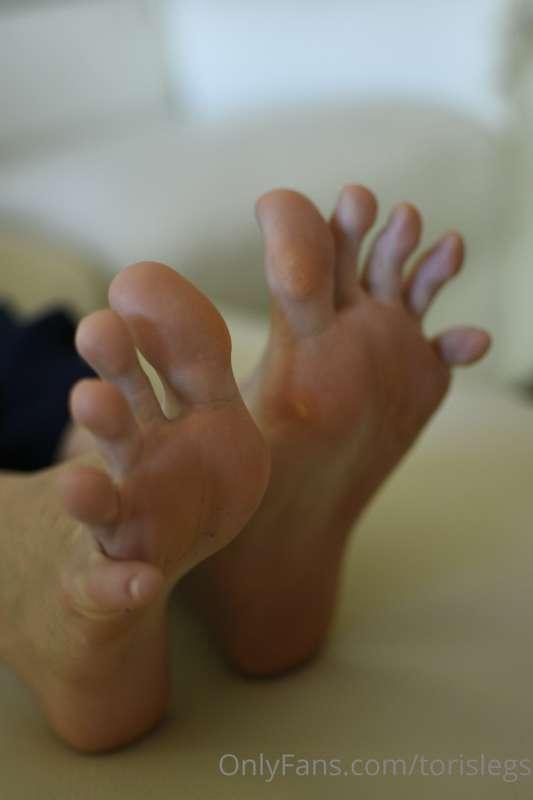 torislegs image #14
