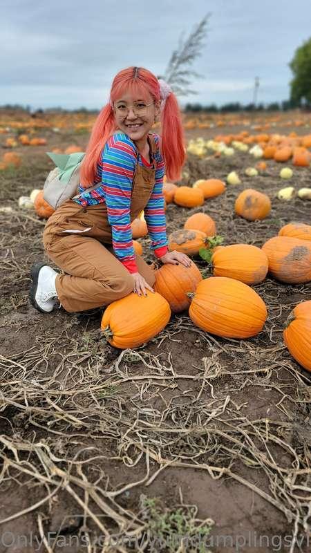Just got back from the pumpkin patch, it was so much fun! Te..