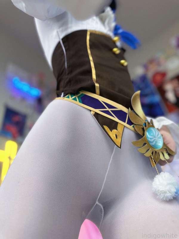 indigowhite image #441