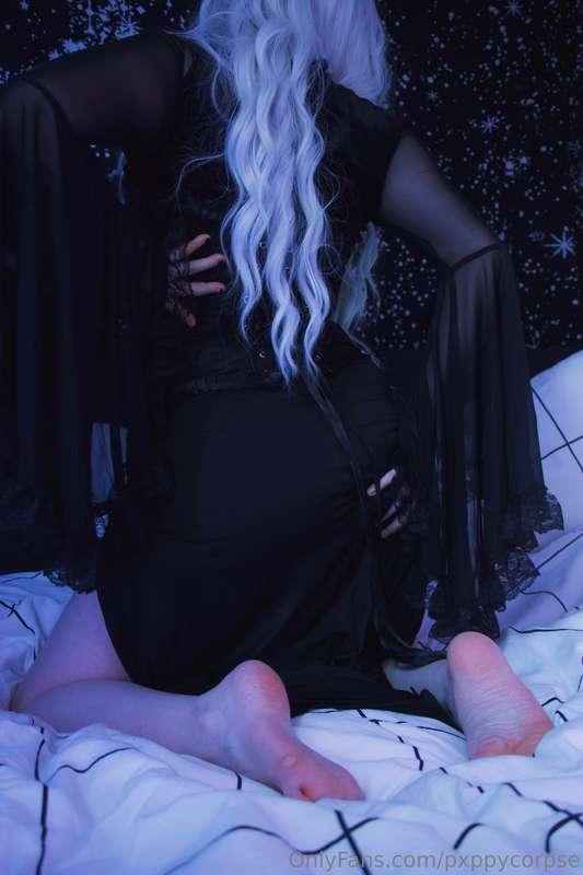 pxppycorpse image #3