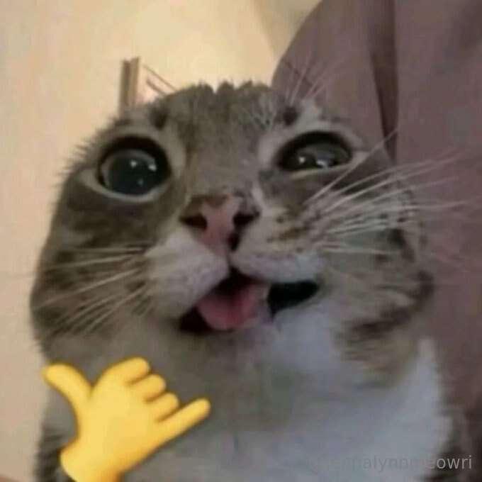 Yall im so excited, my friend has agreed to let me use their..