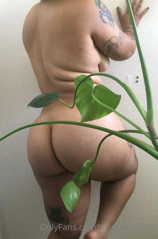 turquoisedeity main image