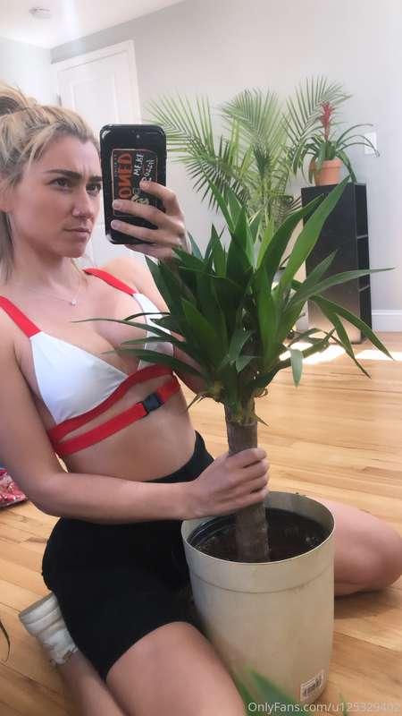 No! You can’t have my plant!
