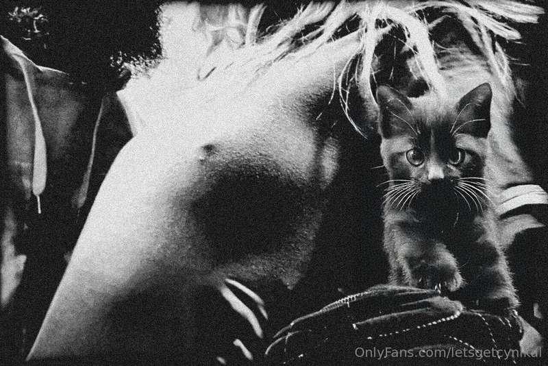 I tawt I taw a puddy tat 🐥 What do you look for in a kitty? ..