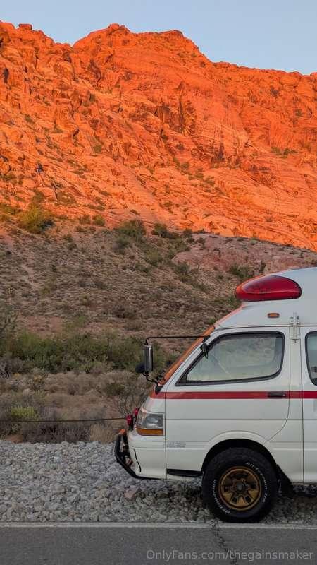 thegainsmaker image #15