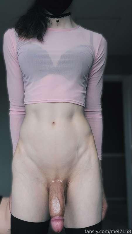 mel7158 image #1