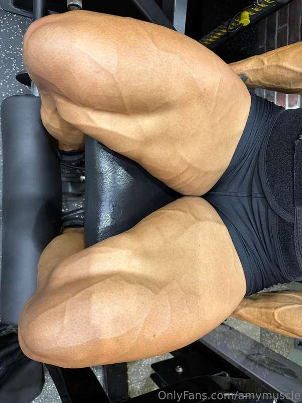 Mt tree trunks hehe