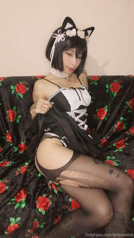 Nuevas kitty fotos✨