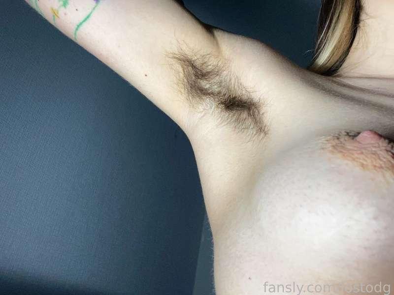 lostodg image #1