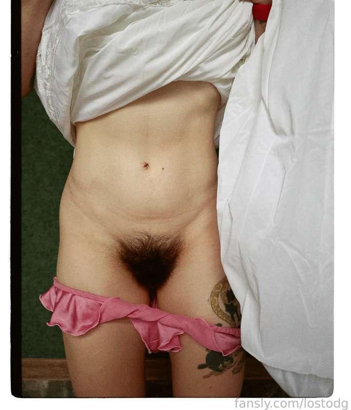 lostodg image #1