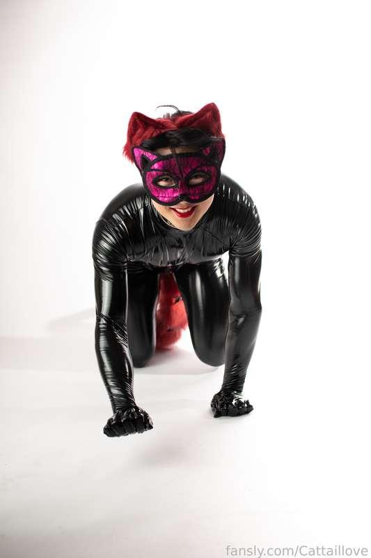 cattaillove image #8