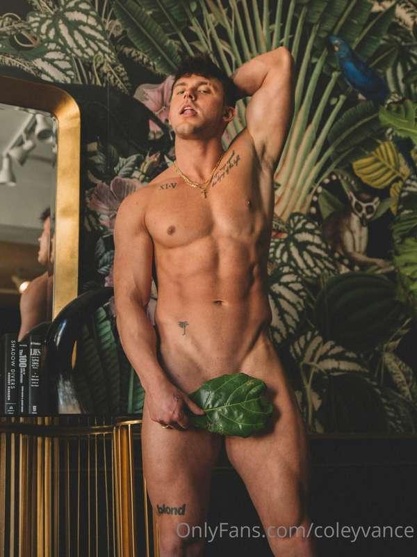 coleyvance main image