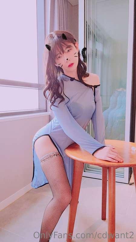 cdwant2 image #8