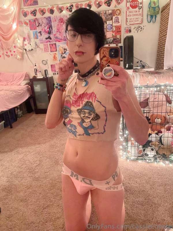 cassiecoyote image #1