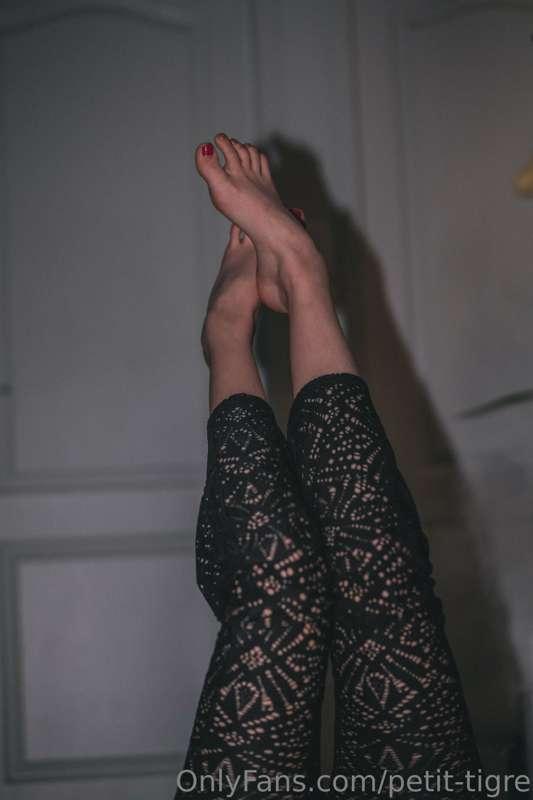 petit-tigre image #2
