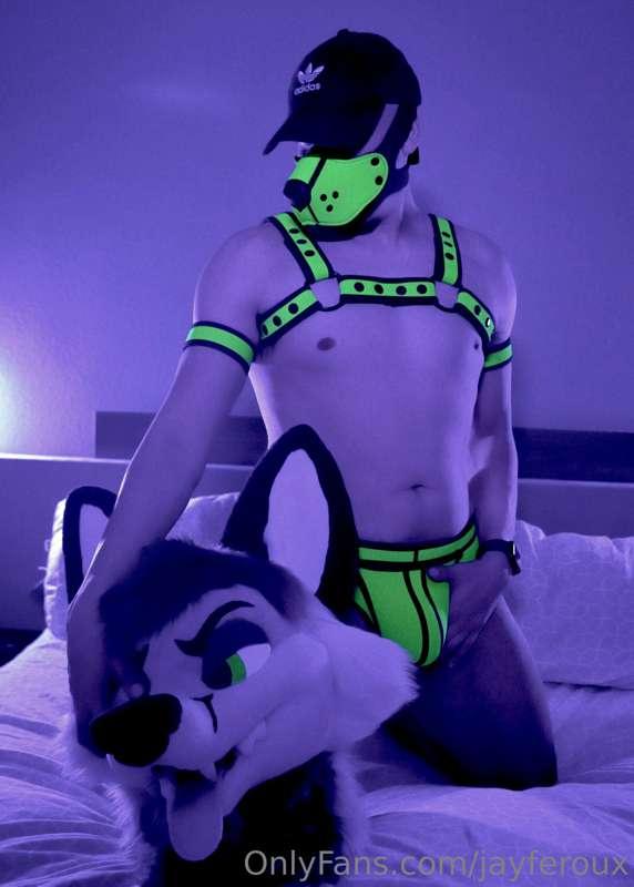 Fun little shoot last night 😏 

📸: @palacewolf