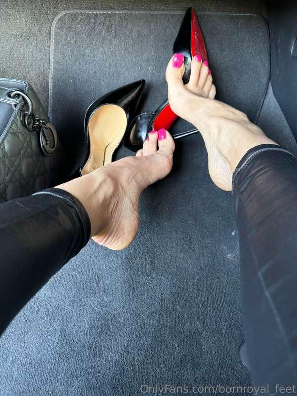 bornroyal_feet image #6