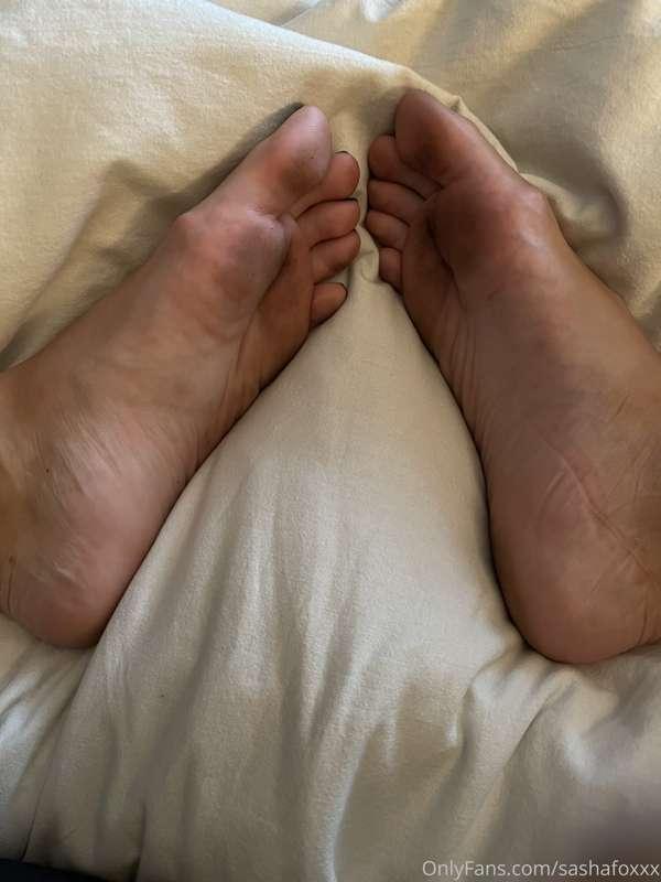 sashafoxxx image #0