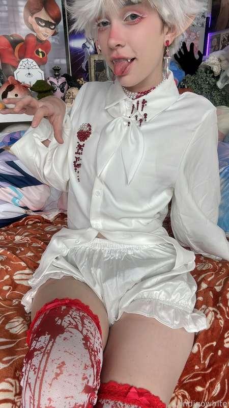 indigowhite image #232