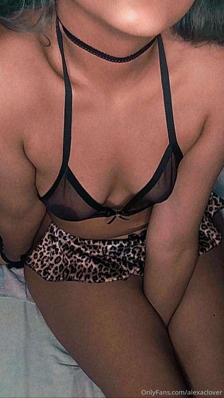 alexaclover main image