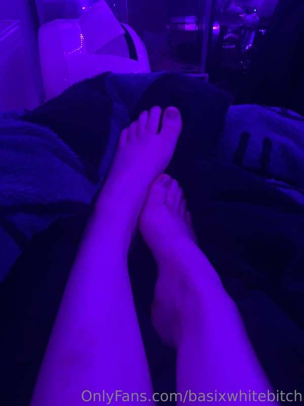 rosy_lepidoptera image #2