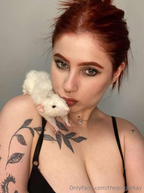 Pretty sure my pet is my biggest fan (or just hungry again) ..