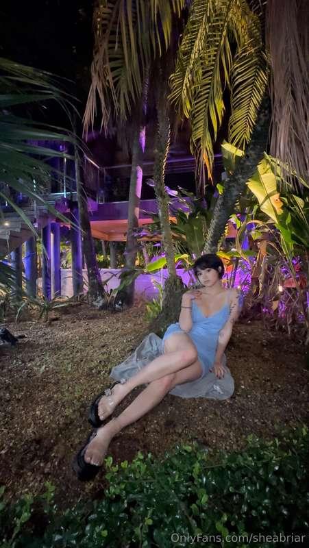 what if we kissed under the palm tree ? ( ˘ ³˘)❤︎ tip $5 for..