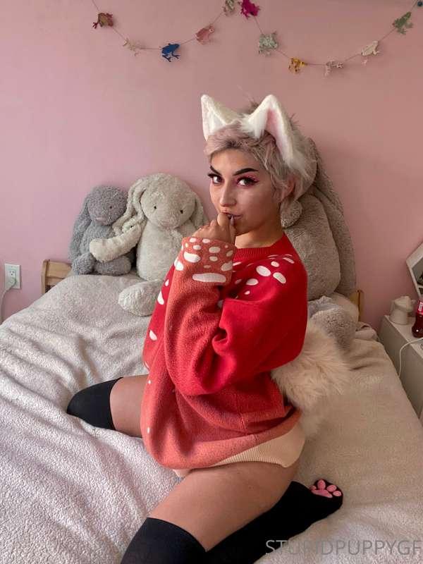 What kind of trip would a bite of this magic mushpuppy take ..