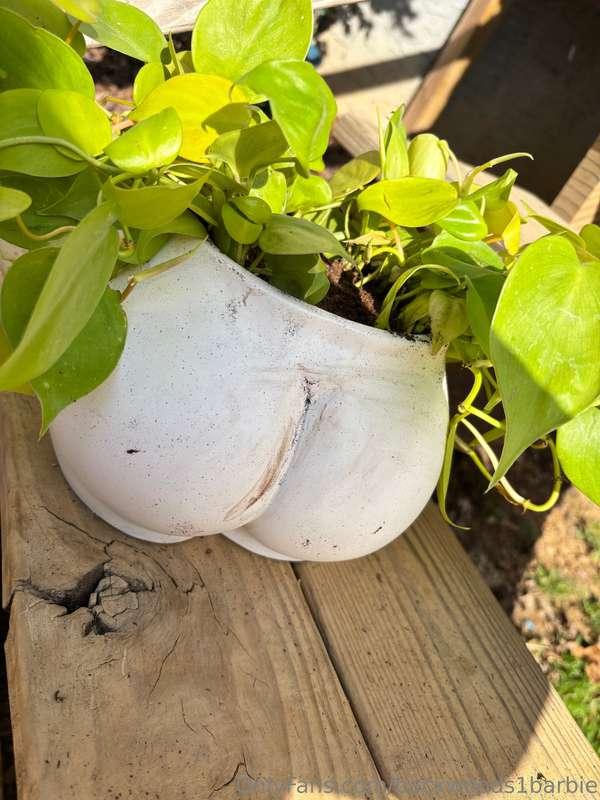 Do I look like my plant?? 🤣