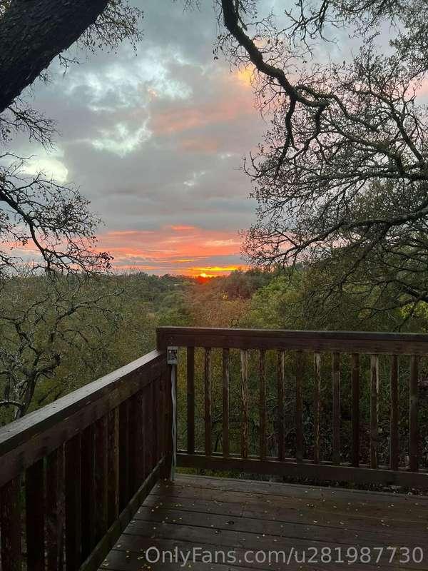 What a beautiful morning to be alive!