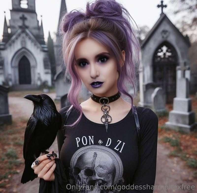 Crows before bros. Support your local murder. 🐦‍⬛🐦‍⬛🐦‍⬛