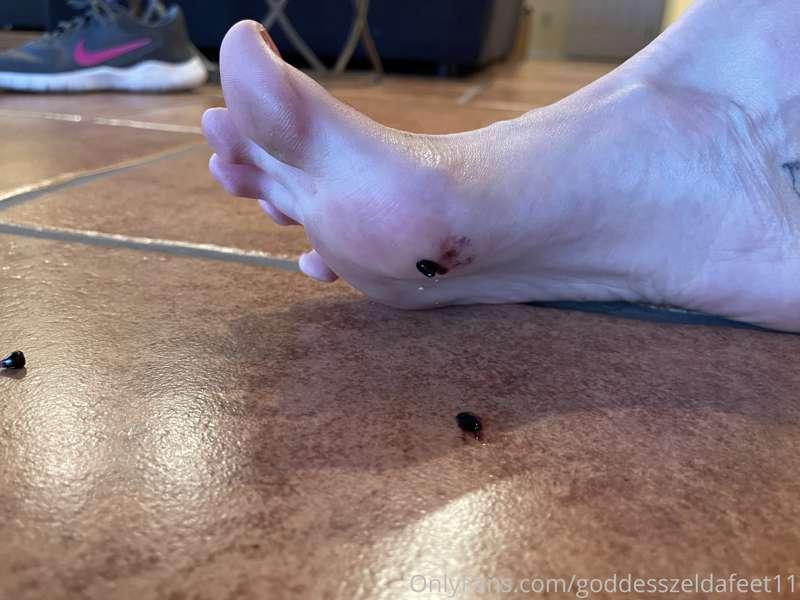 goddesszeldafeet11 image #12