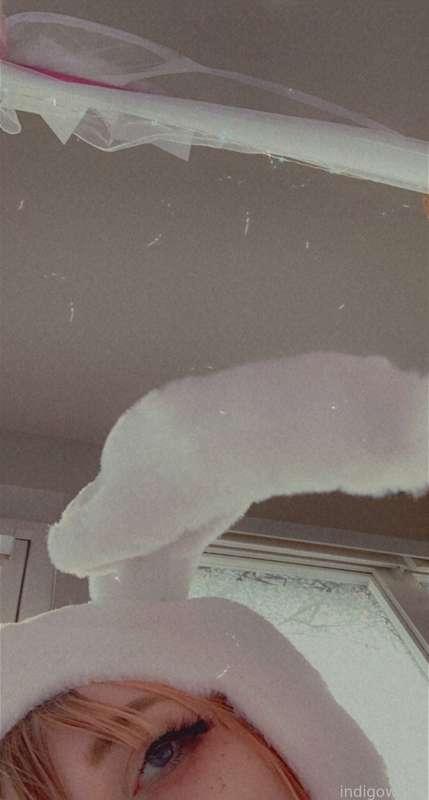 indigowhite image #5