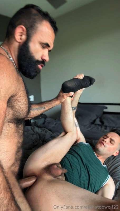 alphatopwolf22 image #20