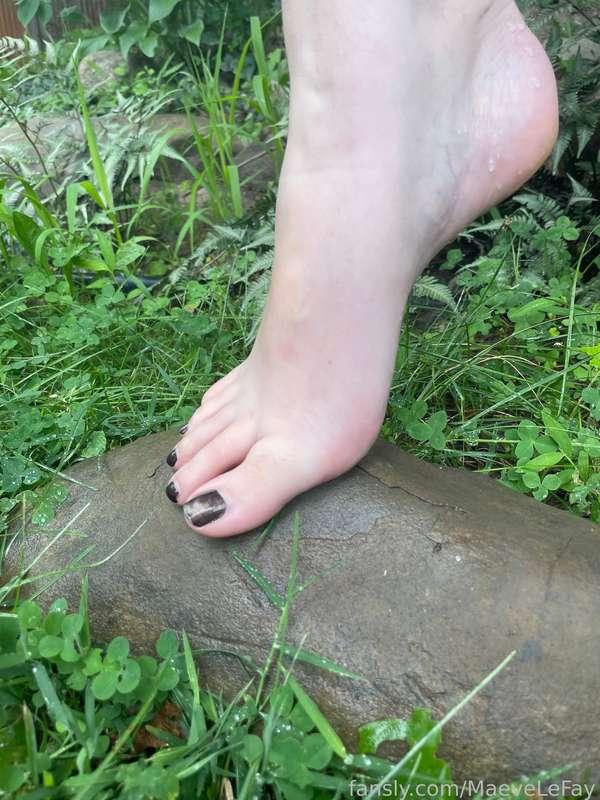 A little barefoot photoshoot in the mud &amp; grass for my feet lovers 💋

Do you want to lick them or get a footjob, pet? 😈

#fyp #feet #footfetish #toes #arches #paintedtoes #outdoor #nature #natural #dirtyfeet #barefoot #footdom #tiptoes #heels #heel #footjob #hairy #ankles