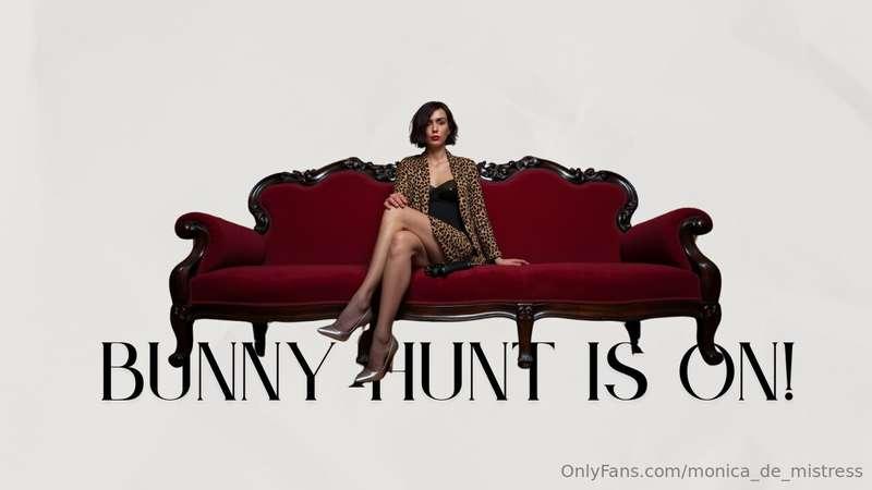 🐇Bunny Hunt: Dare to Play?Let's play with the Mistress. To g..