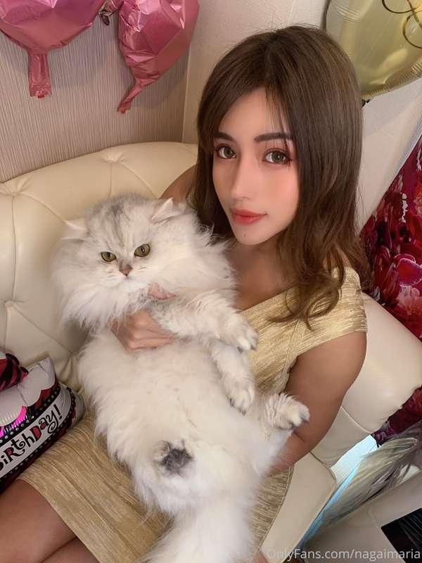 My lovely cat💗