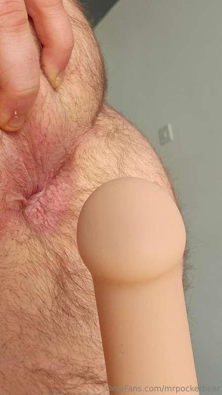 mrpocketbear image #14