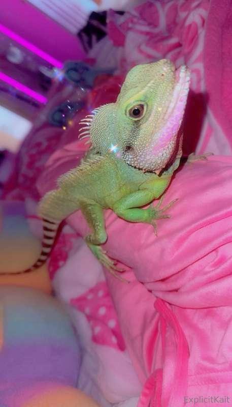 explicitkait image #2