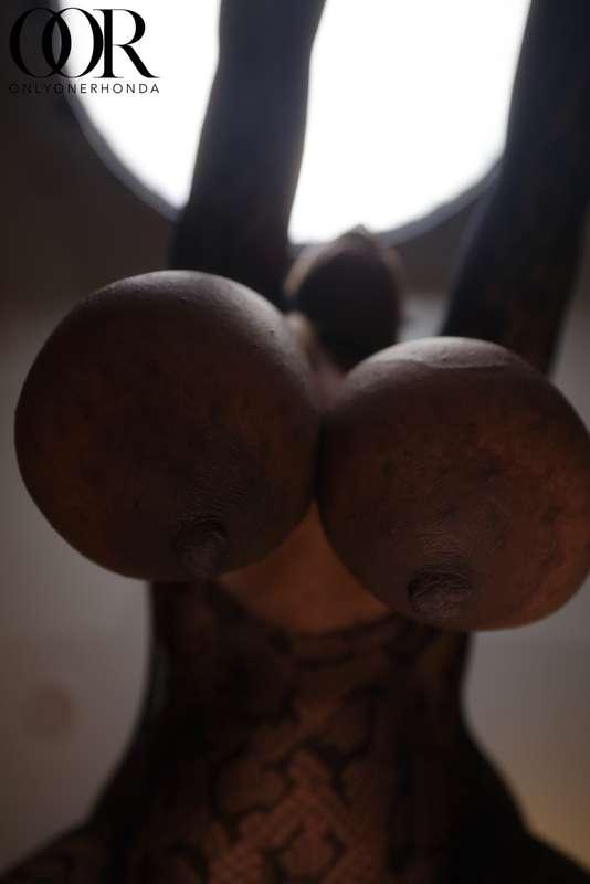 onlyonerhonda image #8