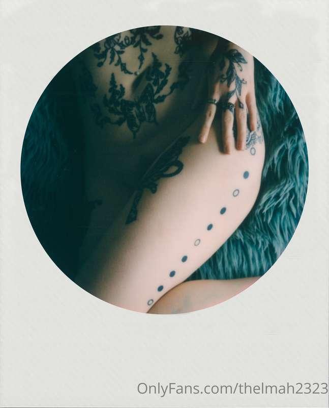The cat's meow.

#polaroid #filmforever #sx70 #sex70 #colorf..
