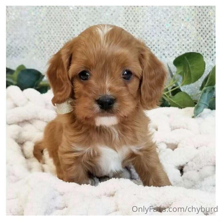 my new bb is coming january 26th..help me name him idkk 🤗