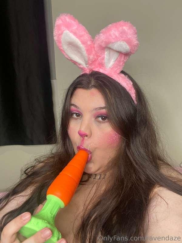 Bunny and her carrot 🥕🐰