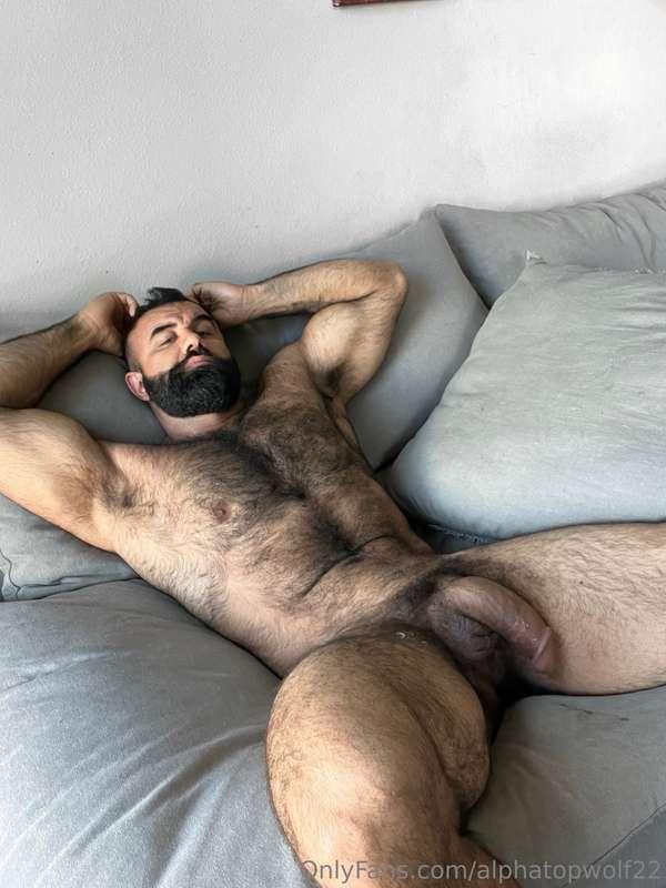 alphatopwolf22 image #0