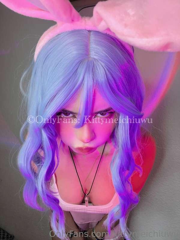 wildkittynyan image #2
