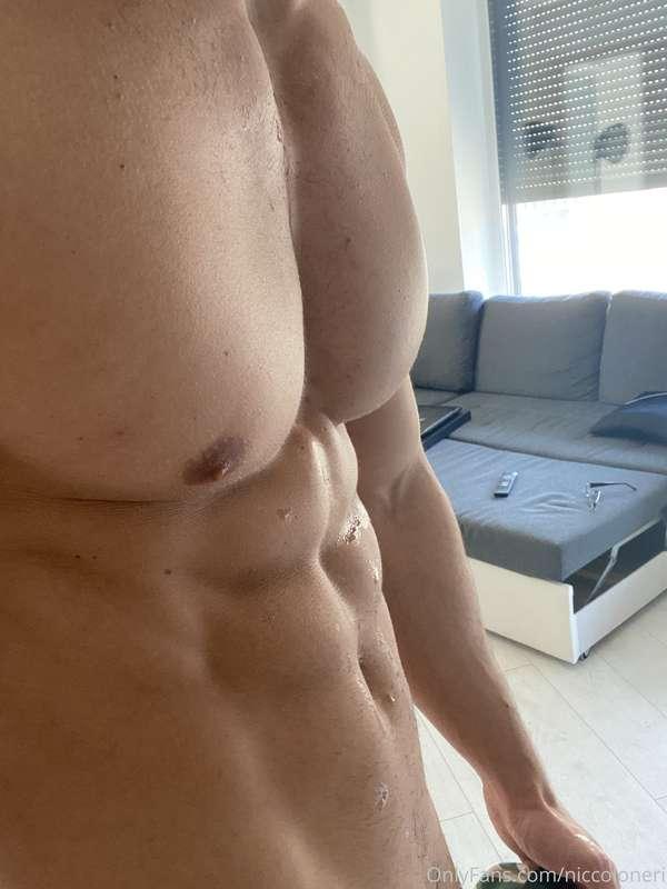 niccoloneri main image